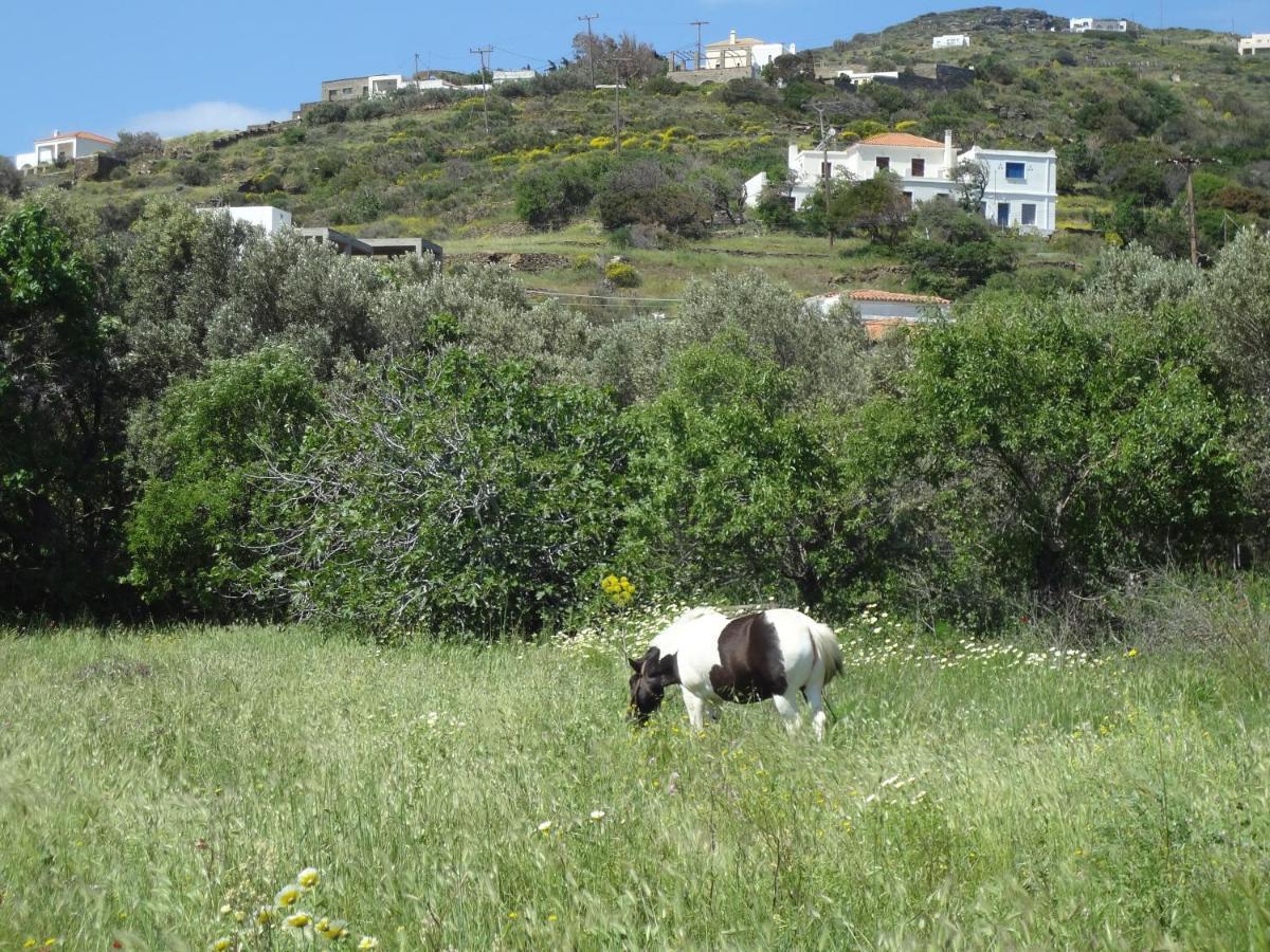 House In The Grass Land. Villa Órmosz Kültér fotó